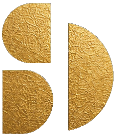 Studio Digitalis Logo